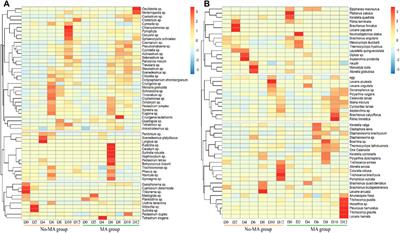 Application of microalgae Scenedesmus acuminatus enhances water quality in rice-crayfish culture